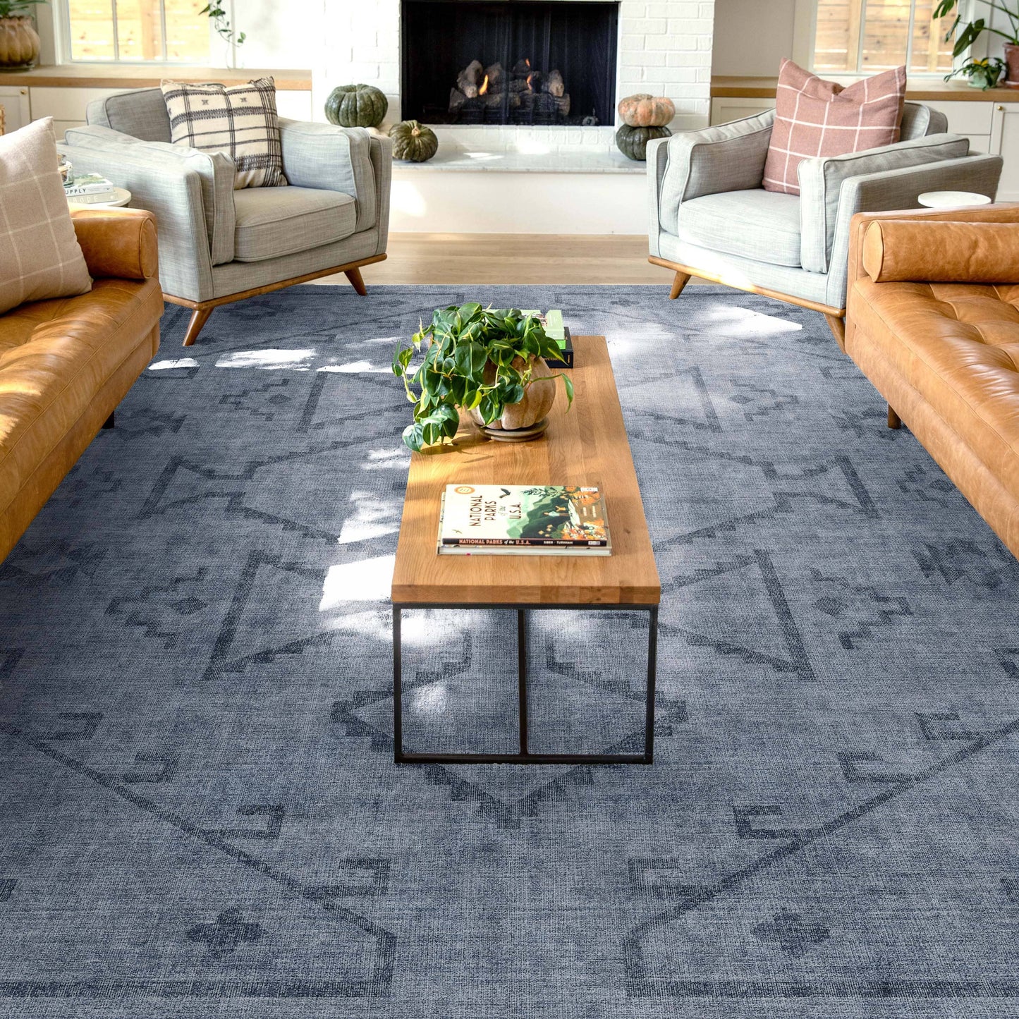 Bottineau Distressed Southwestern Flat-Weave Rug: Beige / Rectangular / 9'10" x 13'