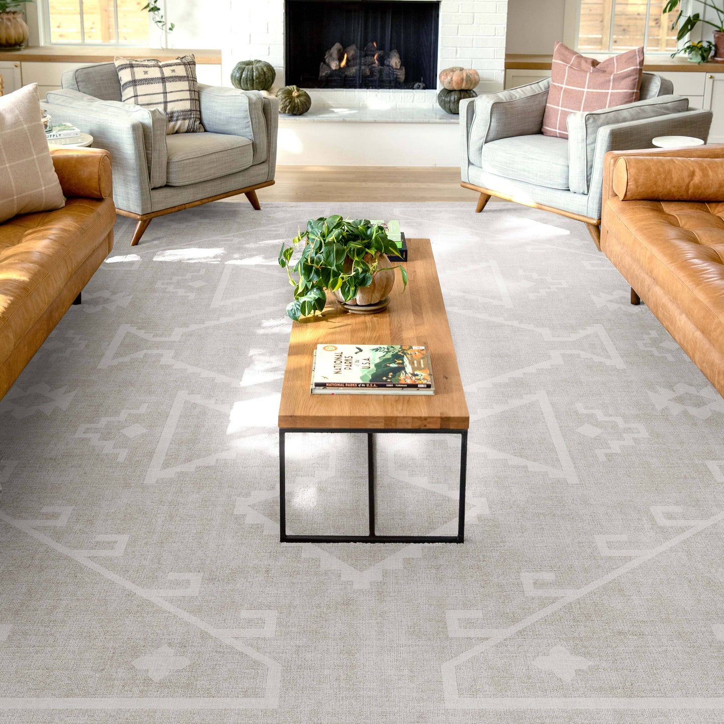 Bottineau Distressed Southwestern Flat-Weave Rug: Beige / Rectangular / 9'10" x 13'