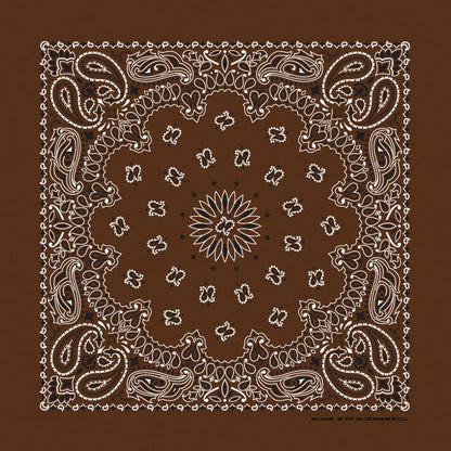 Bandanna Co Classic Paisley 22" X 22": Red