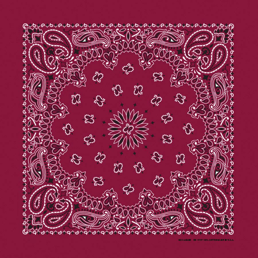 Bandanna Co Classic Paisley 22" X 22": Red
