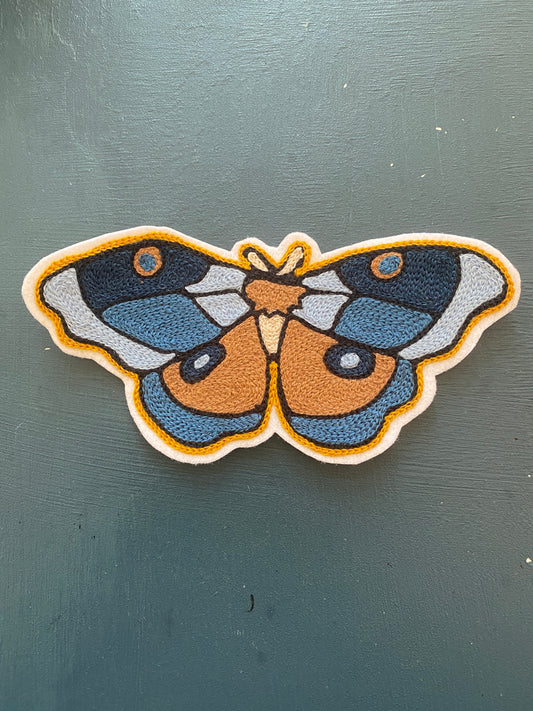 Blue Moth